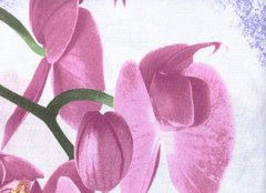 Простынь полуторная Орхидеи, 143х215