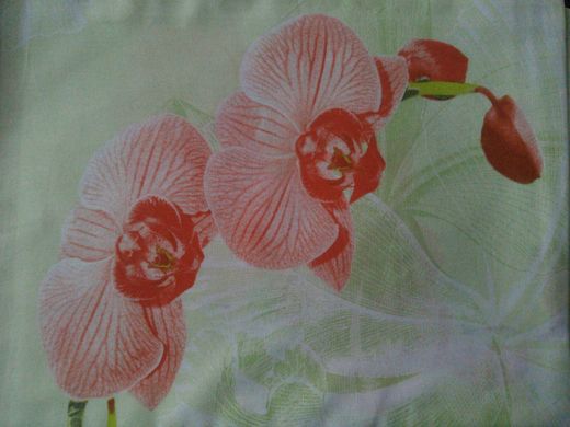 Простынь полуторная Орхидеи, Зелёный, 143х215