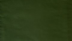 Простынь европейская (220х240) ранфорс зеленая, Зелёный, 220х240